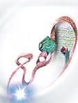 aaax2.php - 